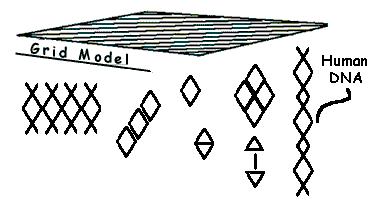 gridmodel.gif