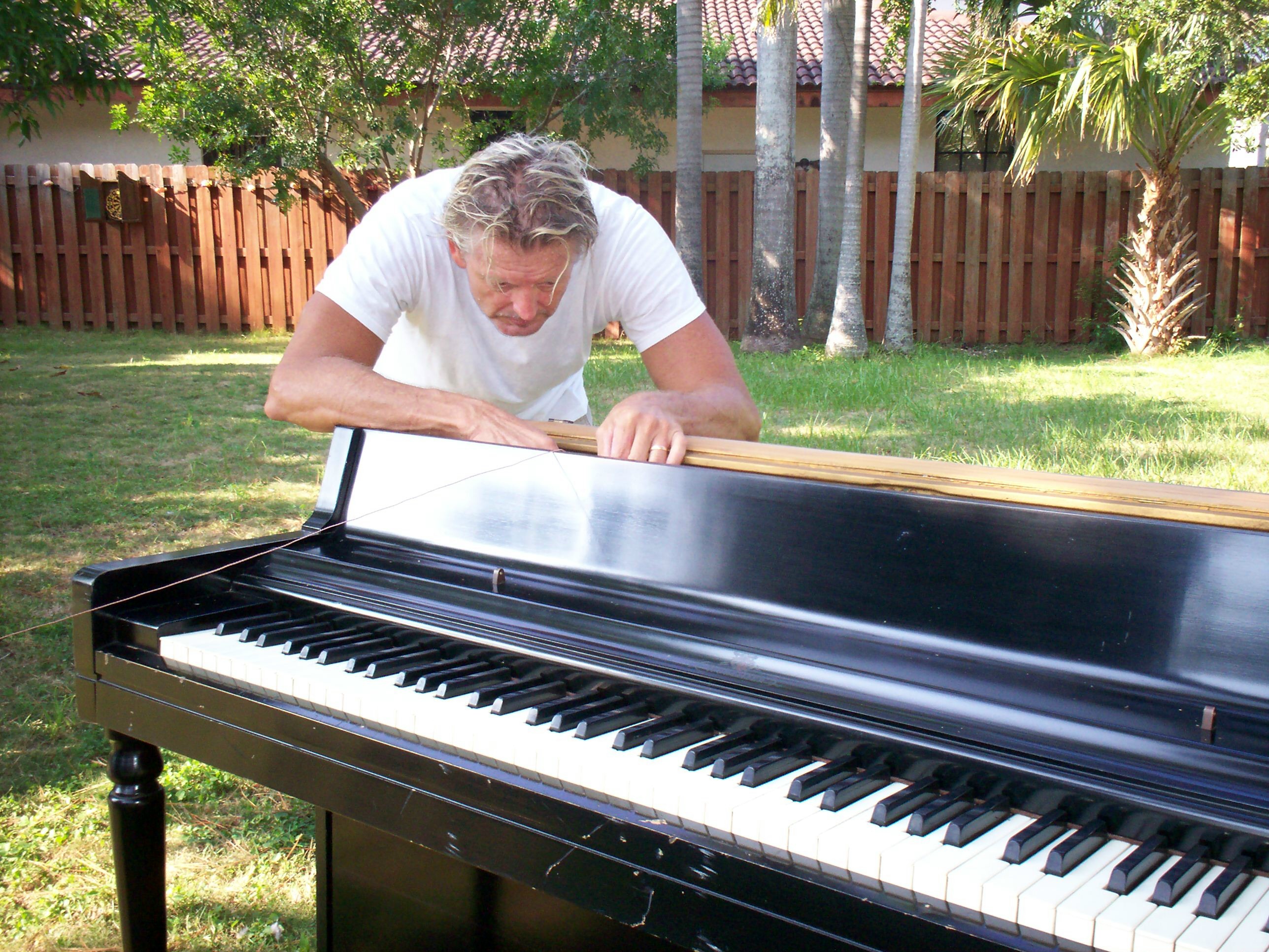pianotree.jpg